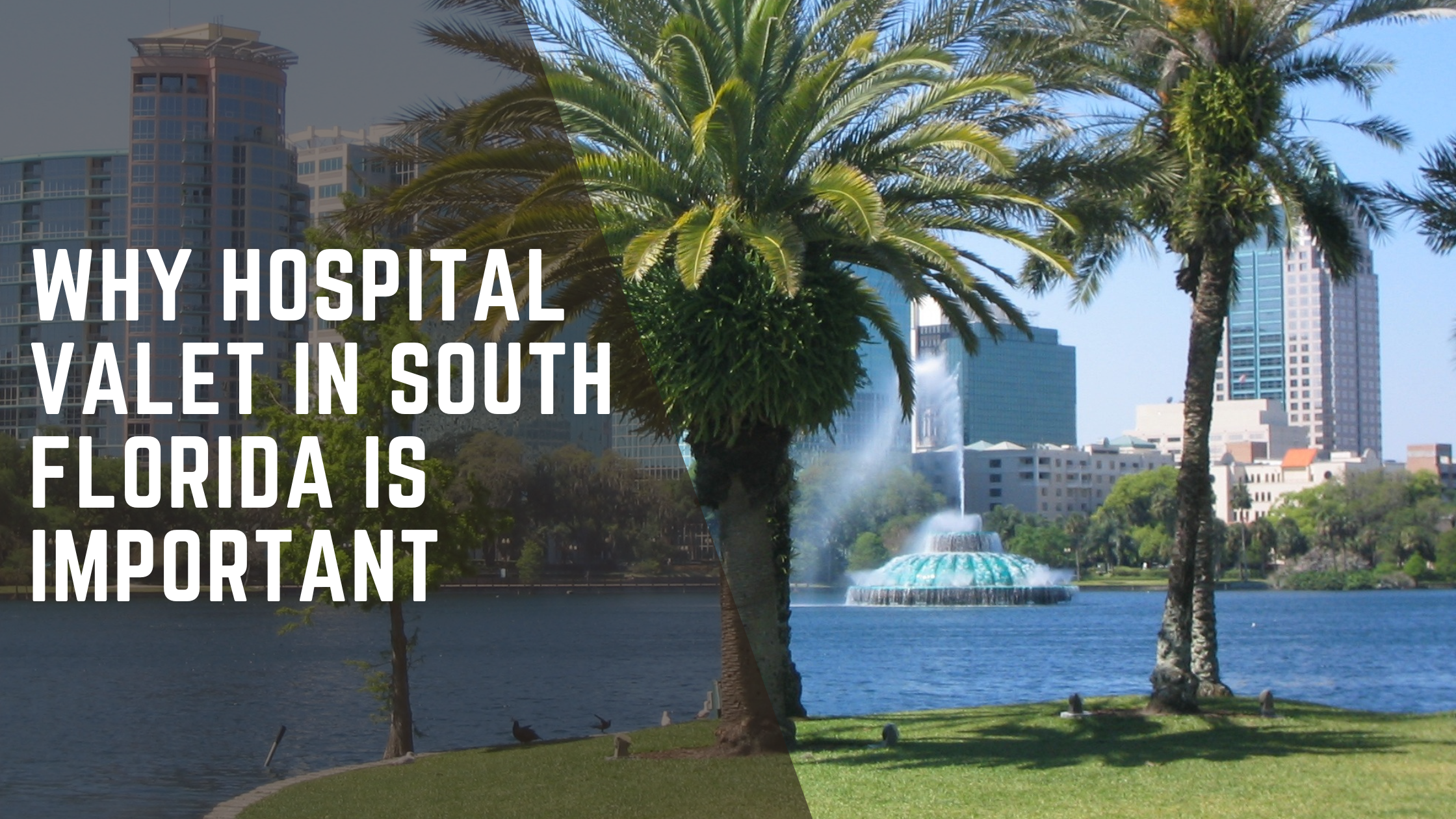 Why Hospital Valet Parking in South Florida Is More Important Than You Think